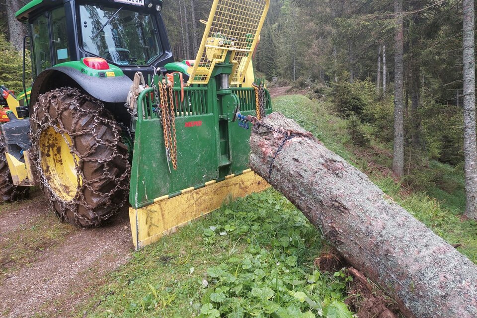 Seilwinde zieht Baum aus dem Wald